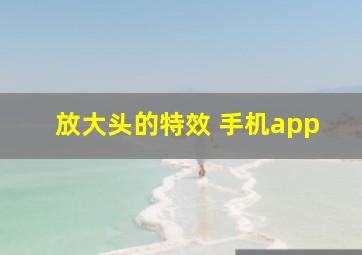 放大头的特效 手机app